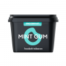Табак Endorphin - Mint Gum (Мятная жвачка) 60 гр